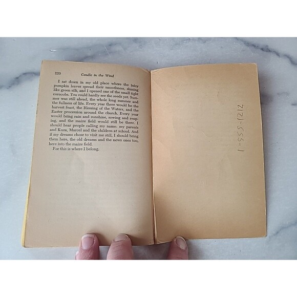 Candle In The Wind By Hertha Seuberlich Paperback - Picture 8 of 10